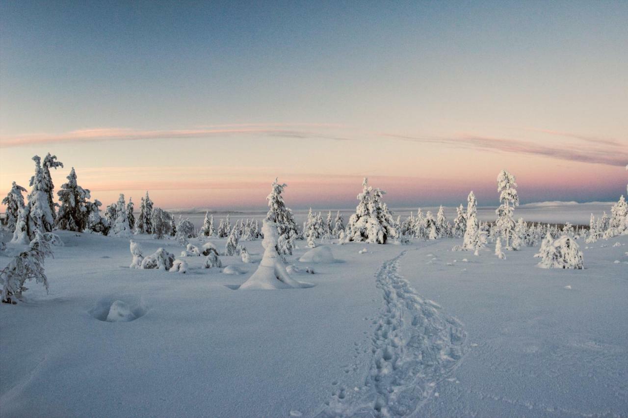 Lapland Dream Villas Rauhala Exteriör bild
